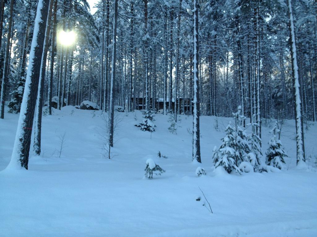 Kultainen Kaava Cottages Padasjoki エクステリア 写真